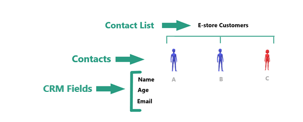 Example of CRM contact MainBrainer CRM, contacts example