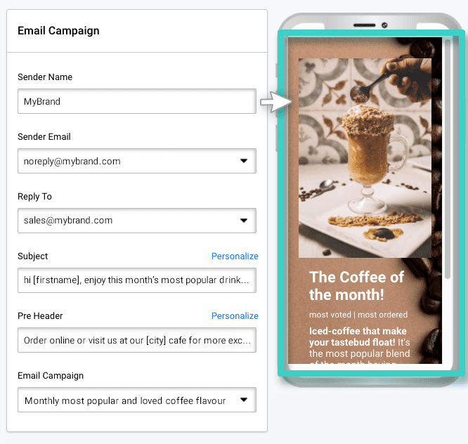 Email campaign distribution preview Email creator, email distribution settings with campaign preview