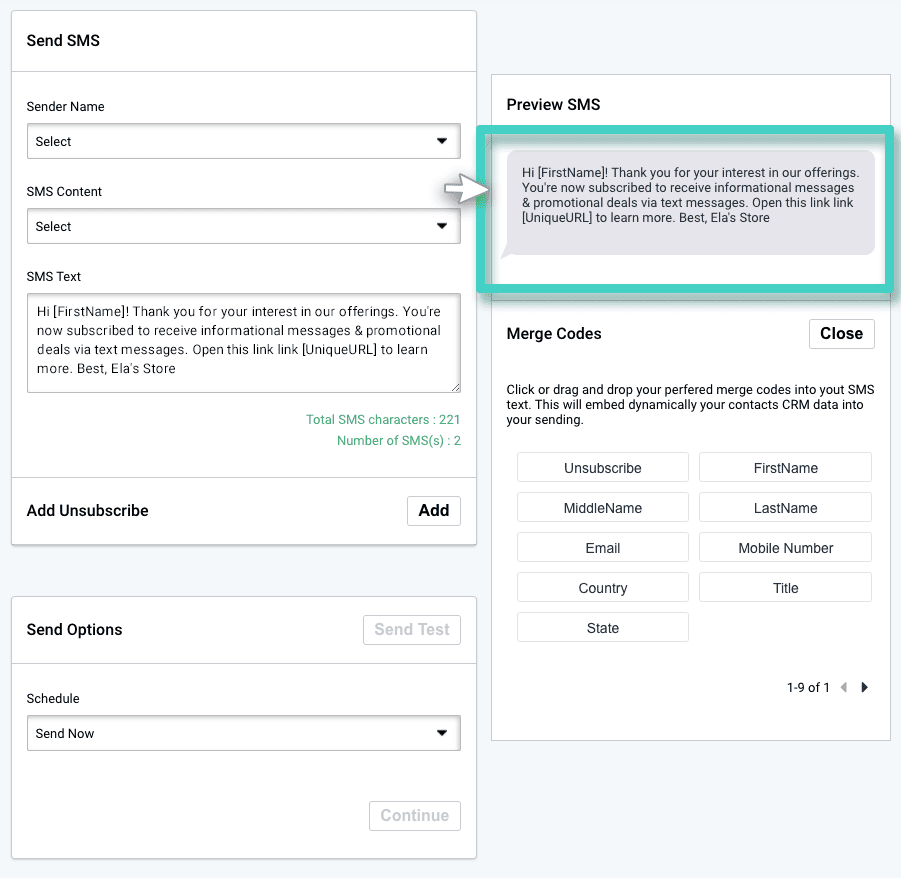 SMS campaign preview SMS campaign sending. Preview of the SMS