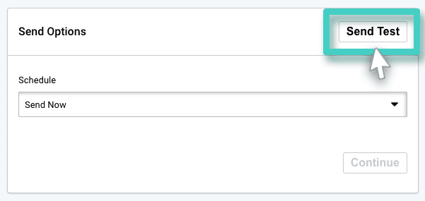 SMS send options SMS campaign sending, send options. The send test button is highlighted