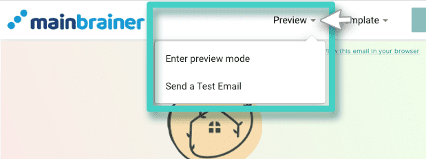 Email creator, preview options. Enter preview mode or send test email