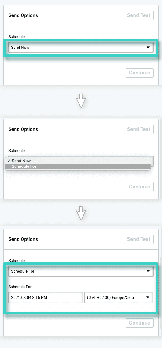 Email campaign sending, send options. Send now or choose time and date